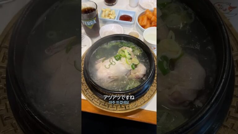 [韓国グルメ] 参鶏湯（サムゲタン）で夏バテ防止☀️ #韓国旅行#サムゲタン