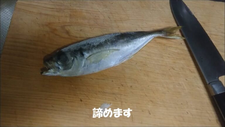 おいしいパスタ作ったお前　アクアパッツァ作った俺
