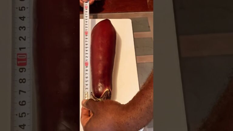 【グルメ】夜中に見ちゃいけないやつ。悶絶する茄子のうまさ。イタリアンテイストにしたよ#shorts