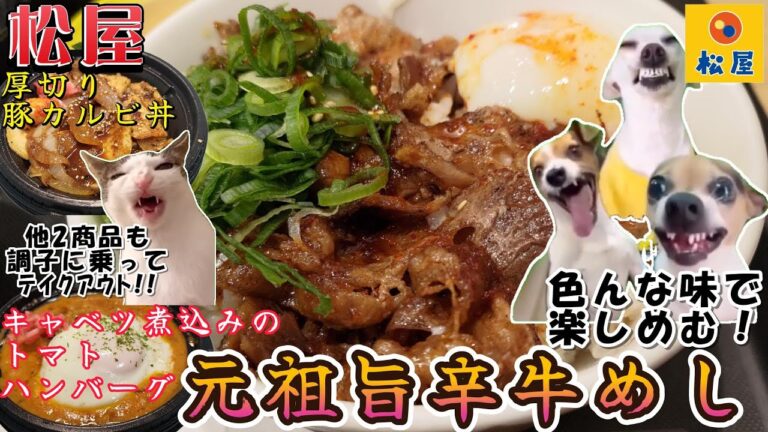 【猫ミーム】松屋の「元祖旨辛焼き牛めし」を食べてきました！「厚切り豚カルビ丼」「煮込みキャベツのトマトハンバーグ」もテイクアウト！！！（#猫ミーム　#猫マニ　#catmeme）（2025/01月下旬）