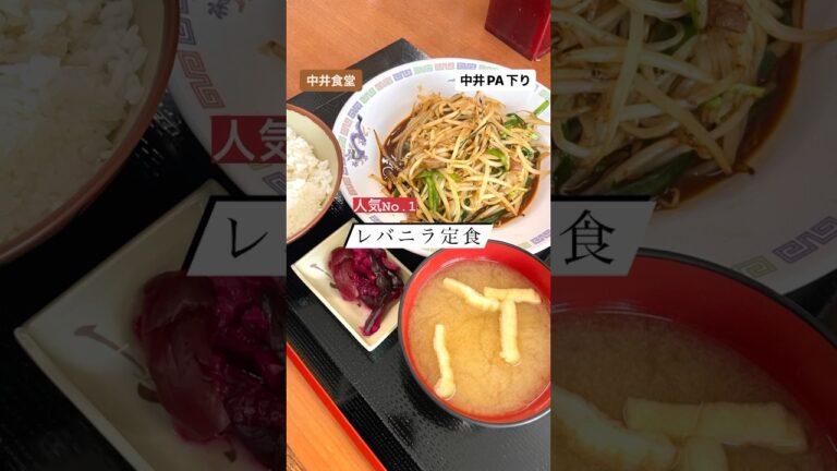 中井パーキングエリアのレバニラ定食は元気になる味！ #中井食堂#中井パーキングエリア #中井pa#レバニラ定食#レバニラ炒め#ランチ#スタミナ