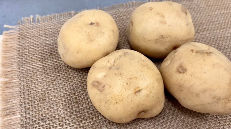 じゃがいも（男爵）〈野菜の食べ方＆調理方法〉by食育マルシェおうち便