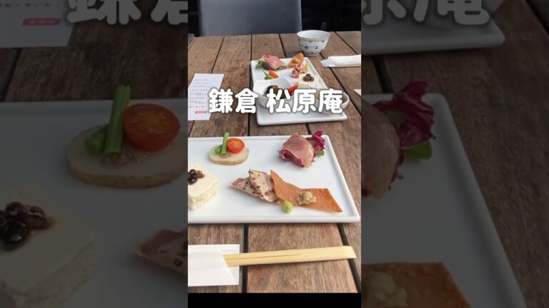 【犬OK】鎌倉由比ヶ浜で愛犬も一緒に熱々お蕎麦と天ぷら海鮮あられ揚げ #鎌倉 #由比ヶ浜 #蕎麦 #そば #天ぷら #松原庵 #ペット同伴 #トイプードル #愛犬と旅行 #犬のいる暮らし