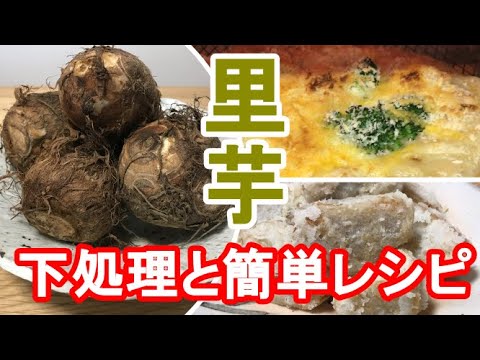 【里芋レシピ】里芋皮むきから柔らかく電子レンジで下煮まで【料理動画】