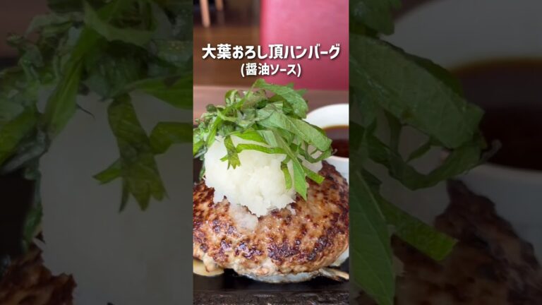 極厚ジューシー！頂ハンバーグ🔥#ステーキガスト#ハンバーグ#肉#肉汁ハンバーグ#おなかすいた#デミグラスハンバーグ#おろしハンバーグ#ガリバタ