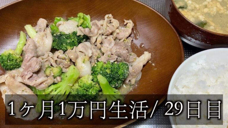 【1ヶ月1万円生活29日目】豚肉とブロッコリーの味噌炒めを作る！