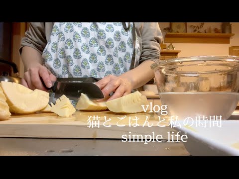 【料理vlog】春のたけのこづくしごはん/○○に必死な猫