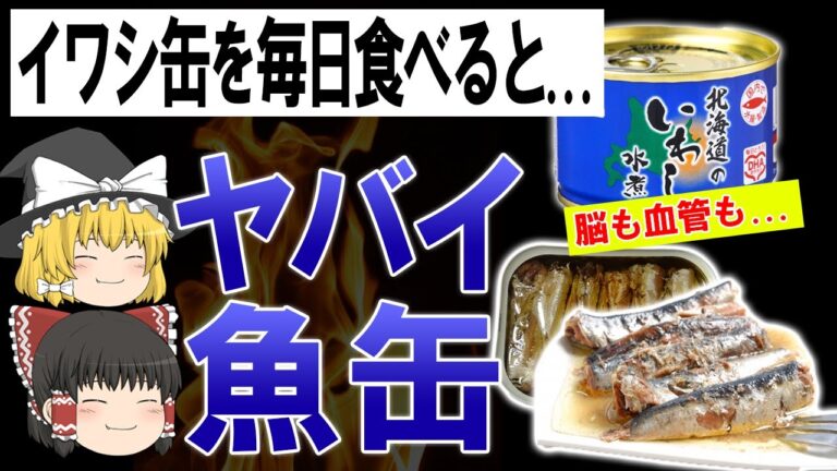 脳や血管が...!？イワシ缶毎日食べると起こる衝撃変化【ゆっくり解説】