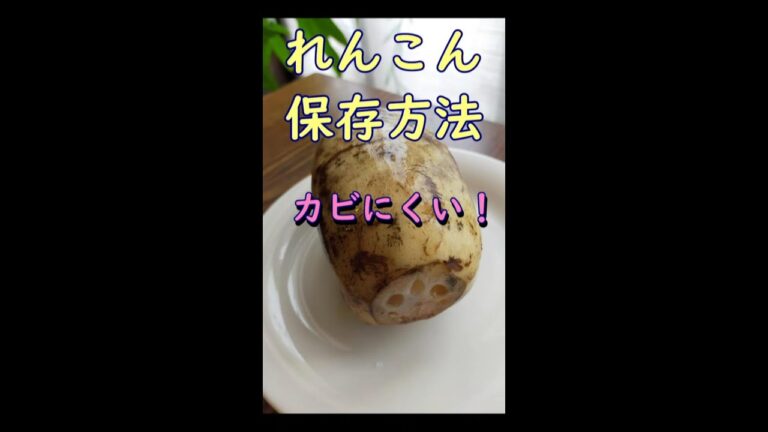 小ワザ：れんこん保存方法　#Shorts　体が喜ぶ発酵料理教室