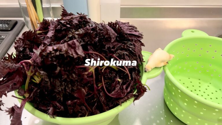 【自家製ビン詰め作り】赤しそシロップを作ってみた - 濃縮、ジュース | Homemade shiso syrup recipe - Japanese summer drink【#29】