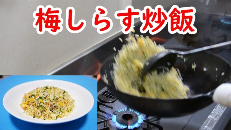 梅しらすチャーハン / Salted Plum , Whitebait Fried Rice