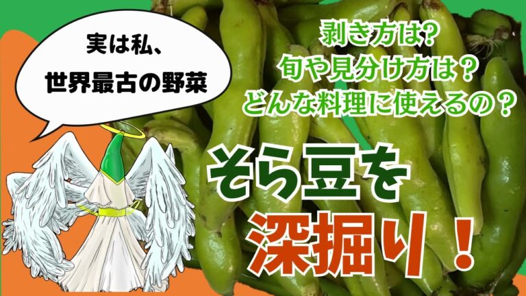 【実家から大量にやって来た】そら豆を堪能しました！