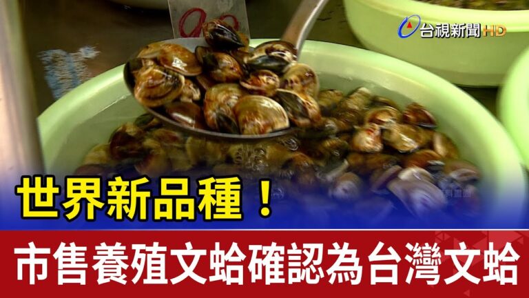 世界新品種！ 市售養殖文蛤確認為台灣文蛤