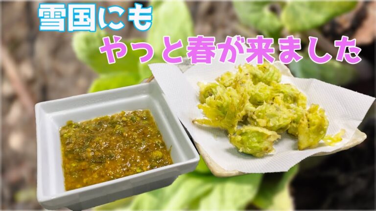 春の訪れ。ふき味噌づくりと、ふきのとうの天ぷら　山菜　田舎暮らし