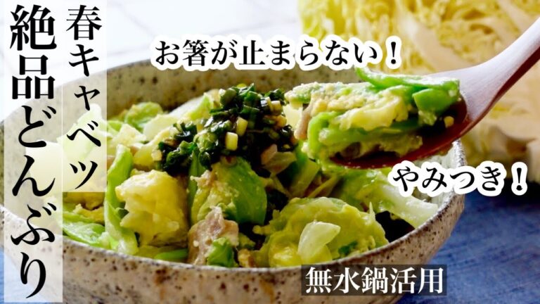 【春キャベツ】旬の春キャベツがたっぷり入った絶品どんぶり🍚 美味しいキャベツ丼レシピ《BGMなし》