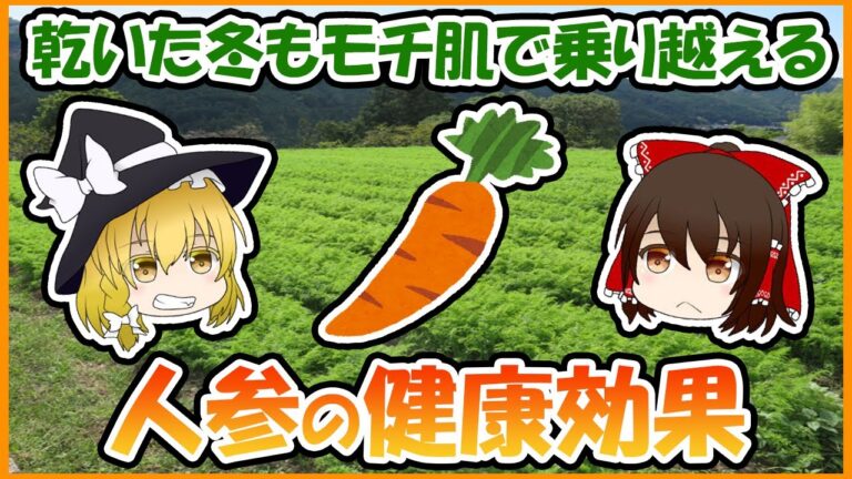 乾いた冬もモチ肌で乗り越える！？人参の知られざる健康効果！【ゆっくり解説】