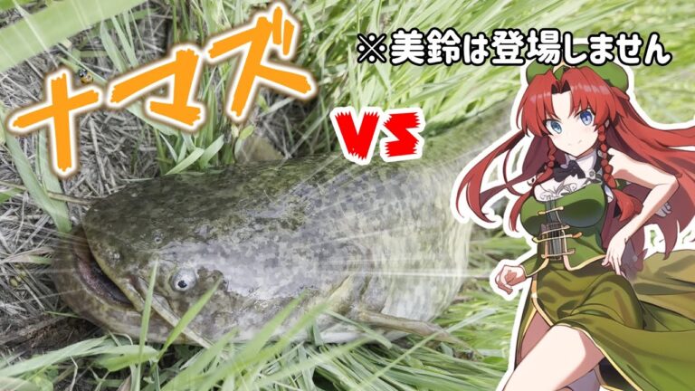 【ゆっくり実況】地震を予知する日本古来の食用魚を釣って料理してみた【ゆっくり料理】【ゆっくり解説】