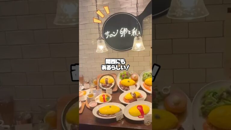 錦糸町駅ビルの洋食屋さんがおいしかった。詳細は説明欄からどうぞ。#錦糸町 #東京ランチ #洋食 #オムライス #グルメ #卵料理 #サロン卵と私　#shorts