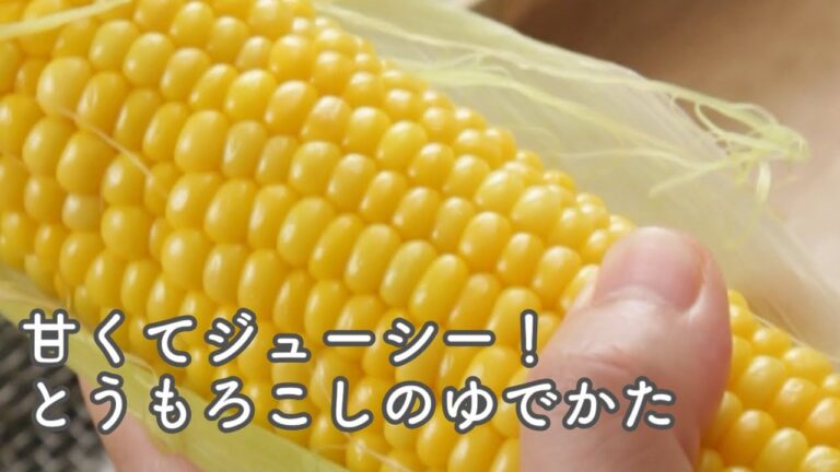 甘くジューシーにゆでたい！とうもろこしのゆでかた【やりかたのヒント】