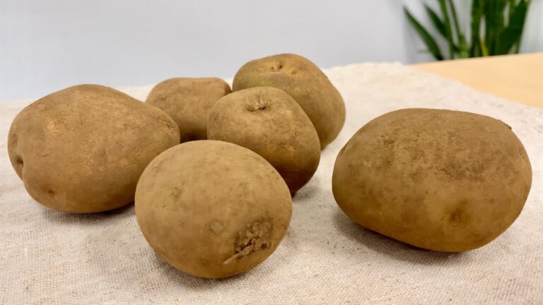 じゃがいも／きたあかり〈野菜の食べ方＆調理方法〉by食育マルシェおうち便