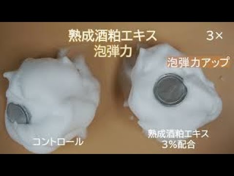 KOHAKUYUKI-熟成酒粕エキス- 弾力泡