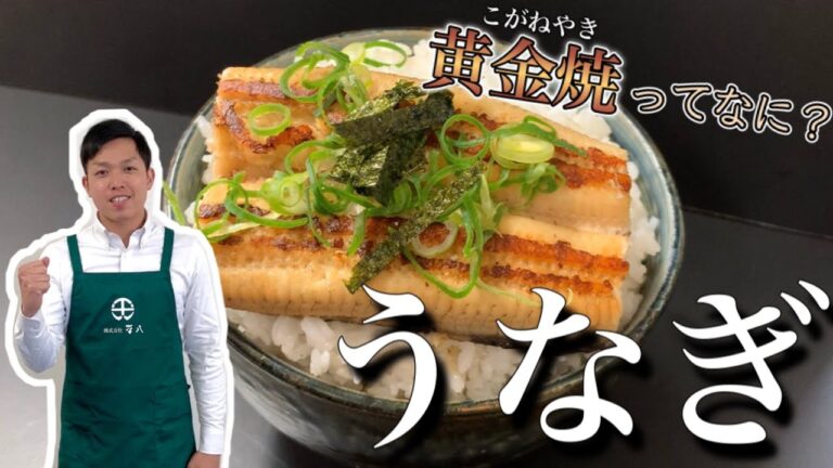 【絶品】蒲焼でも白焼きでもない！？新しいうなぎはこれだ！！