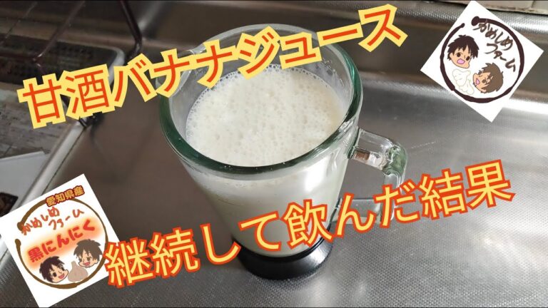 【甘酒バナナジュース】１ヶ月間飲み続けた結果