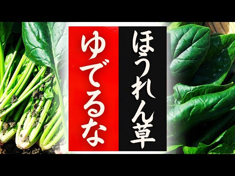 【ほうれん草】の美味しい食べ方！驚くほど美味しくなる！