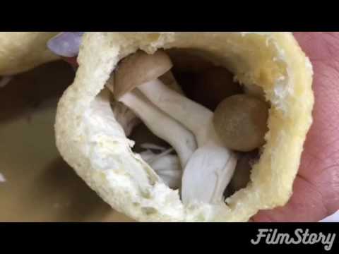 油揚げのふわふわ卵の煮物