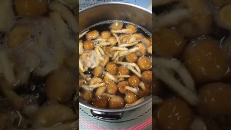 【簡単クッキング】なめこと豆腐のお味噌汁（赤味噌）　 #shorts  #赤だし