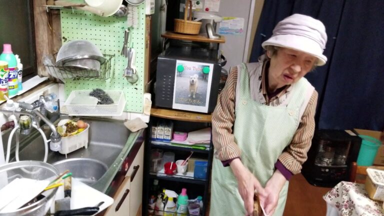 2019.04.14 本日の味噌汁 part② 4K 高画質