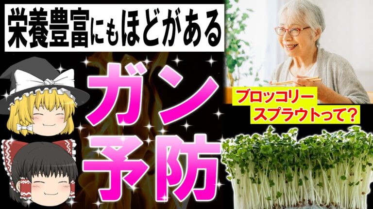 【ゆっくり解説】ガン対策がたった3日に1回でできちゃう？絶対食べたい天然のサプリとは?