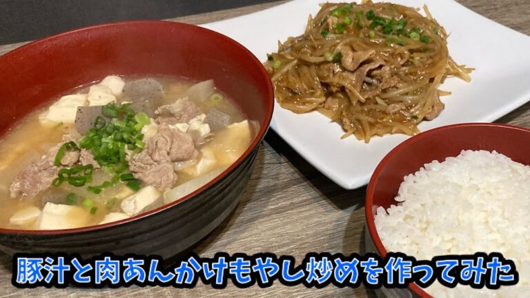 豚汁と肉あんかけもやし炒めを作ってみた