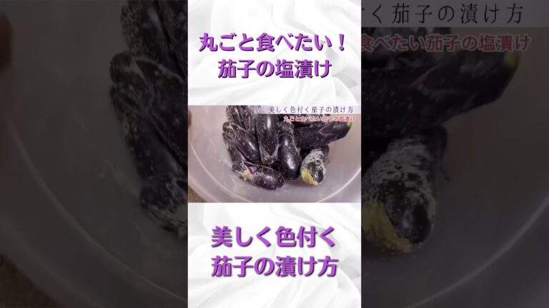 【丸ごと食べたい！茄子の塩漬け】#shorts #料理 #自然農 #漬物 #茄子