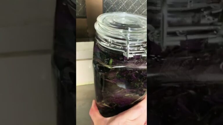 紫蘇酵素ジュース作ってみる