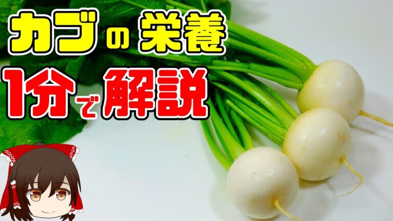 【ゆっくり解説】忙しい人のための『カブ』の栄養を1分で解説