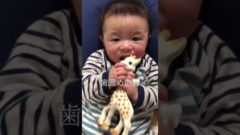 歯固め中