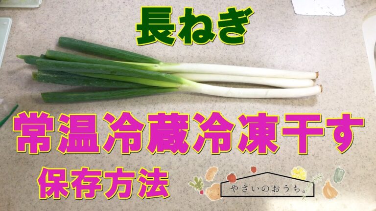 長ねぎの保存方法̩｜冷凍・冷蔵や保存食レシピ！