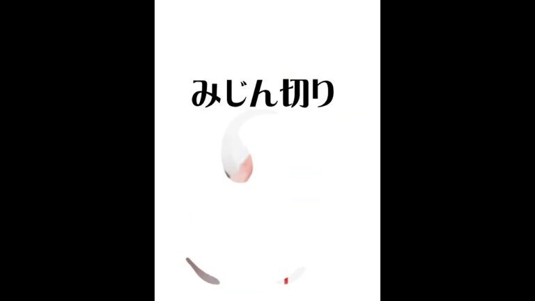 【主婦が1人で家で食べる時の簡単昼ごはん】ノザキのコンビーフとオクラとネギの海苔巻き