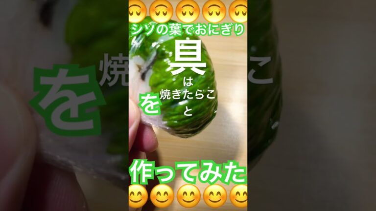 #しその葉 #おにぎり を作ってみた! #お手軽料理 #簡単レシピ