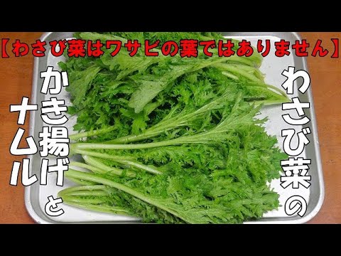 【万能野菜】わさび菜のかき揚げとナムル『かき揚げもナムルも　やみつきになる美味しさ！！』