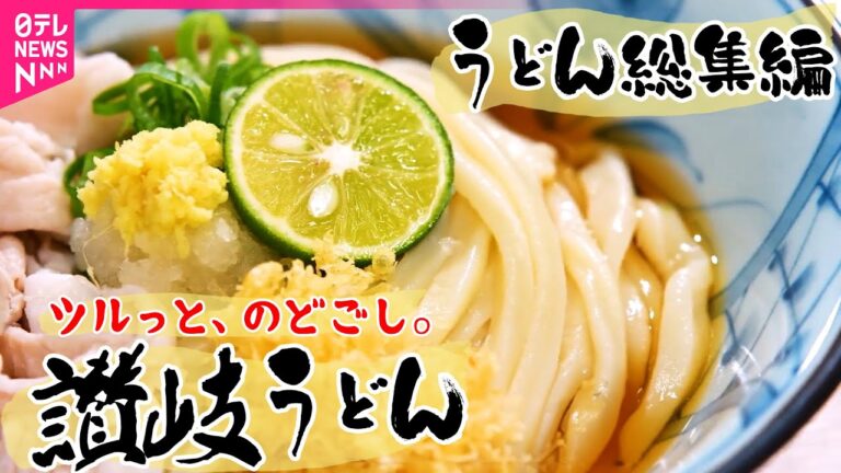 【うどん総集編】ひやあつ、油かす…讃岐＆大阪、都内で食べられるシンプルうどん / 富山のうどんは昆布推し！？驚きとほっこりと…絶品うどん特集！