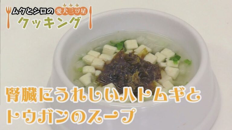【愛犬三ツ星クッキング】腎臓にうれしいハトムギとトウガンのスープ