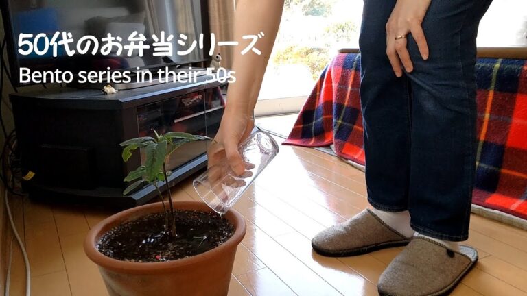 【50代のお弁当シリーズ】夫の朝食と私の朝食/夫のモーニングルーティン/観葉植物アボカド/50代主婦の日常/丁寧な暮らし/暮らしのvlog