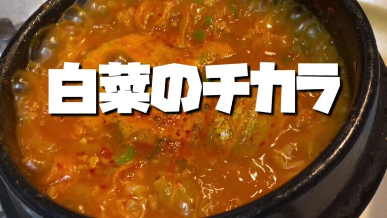【ちょっと萎びた白菜だってまだまだイケる！】白菜を美味しく食べる方法　韓国の代表的な食材「ウゴジ」を作って美味しいチゲを作ろう！