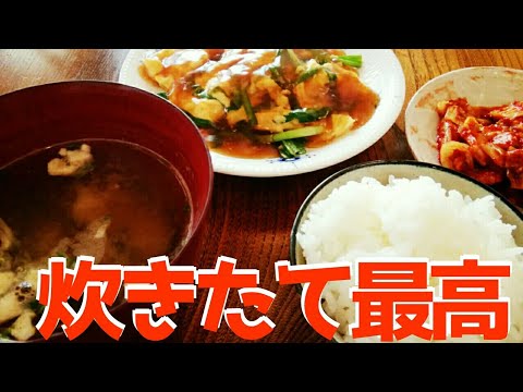 【炊きたて飯】ニラ玉あんかけ＆キムチ　一緒に食べようよ