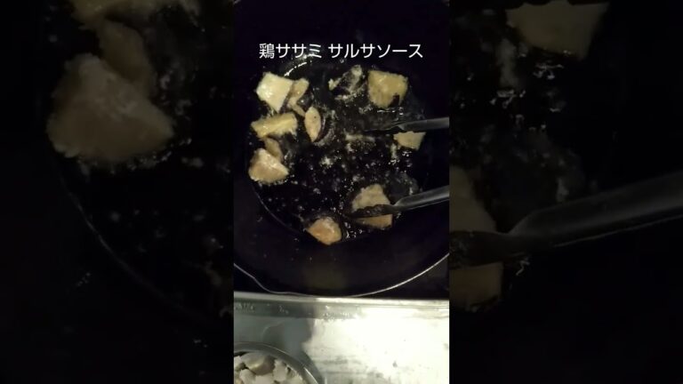 【炒める】Japan food｜鶏肉ササミ、茄子、ケチャップ、サルサソース、簡単料理、