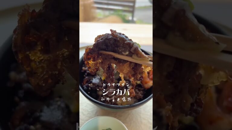 民宿ドライブイン白樺 黒毛和牛 焼肉丼 #shorts