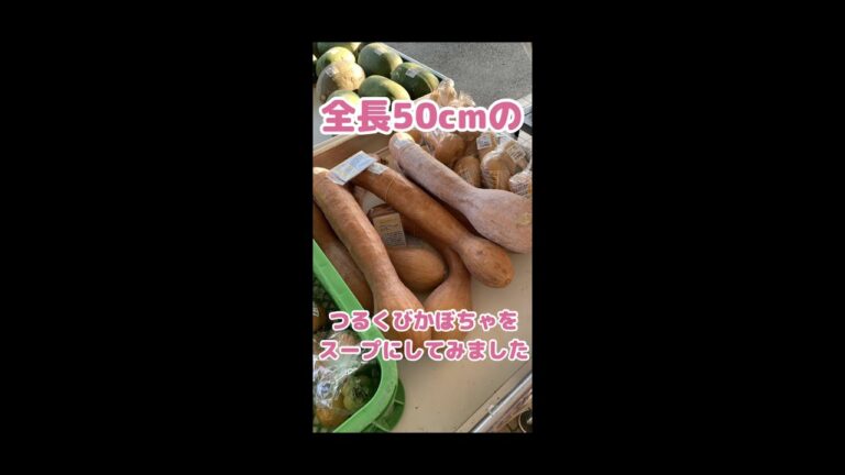 長さ50cmのつるくびかぼちゃを使った濃厚なスープの作り方