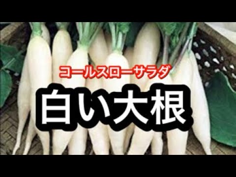 大根レシピ【プロが教える】簡単な大根コールスローサラダ、梅風味